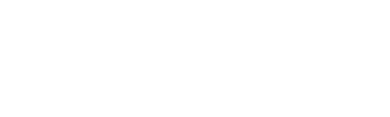 Wisedrive logo white